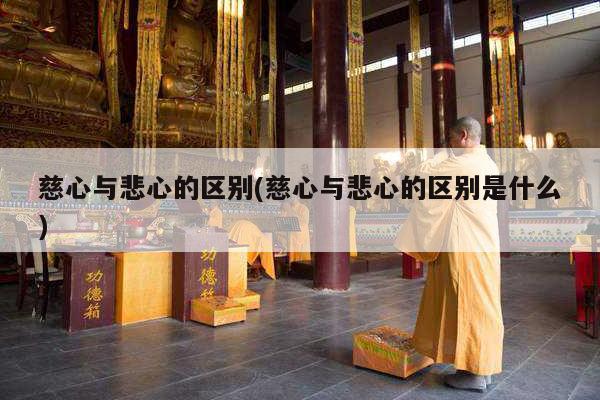 慈心与悲心的区别(慈心与悲心的区别是什么)