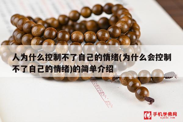 人为什么控制不了自己的情绪(为什么会控制不了自己的情绪)的简单介绍