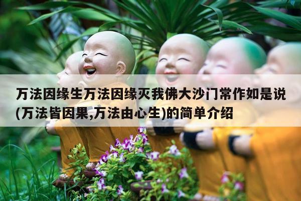 万法因缘生万法因缘灭我佛大沙门常作如是说(万法皆因果,万法由心生)的简单介绍