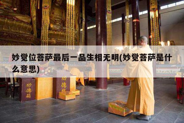 妙觉位菩萨最后一品生相无明(妙觉菩萨是什么意思)