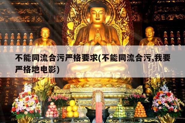 不能同流合污严格要求(不能同流合污,我要严格地电影)