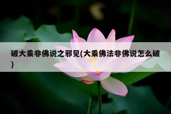 破大乘非佛说之邪见(大乘佛法非佛说怎么破)