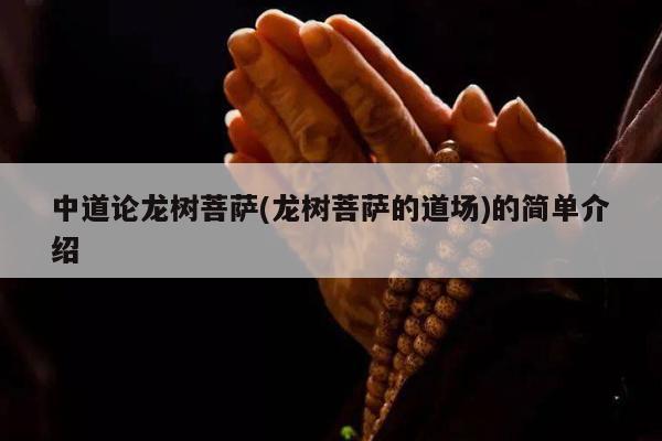 中道论龙树菩萨(龙树菩萨的道场)的简单介绍