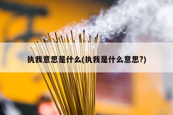 执我意思是什么(执我是什么意思?)