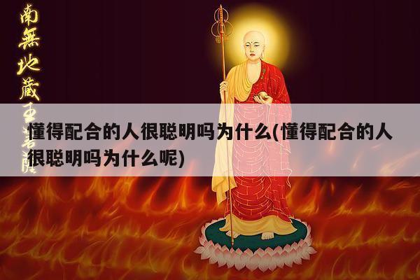 懂得配合的人很聪明吗为什么(懂得配合的人很聪明吗为什么呢)