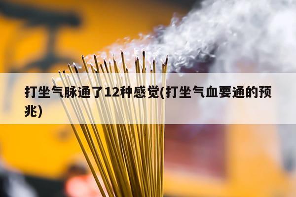 打坐气脉通了12种感觉(打坐气血要通的预兆)