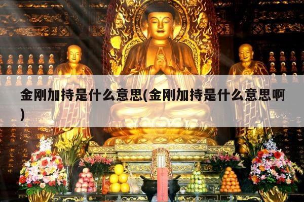 金刚加持是什么意思(金刚加持是什么意思啊)