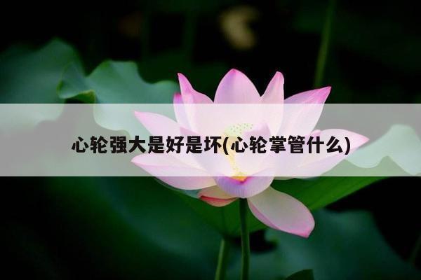 心轮强大是好是坏(心轮掌管什么)