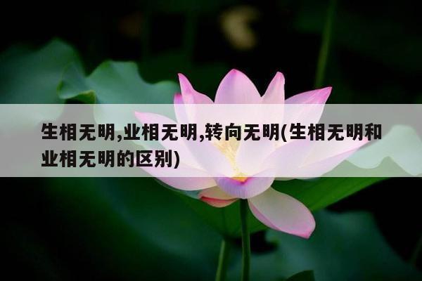 生相无明,业相无明,转向无明(生相无明和业相无明的区别)