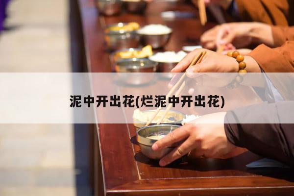 泥中开出花(烂泥中开出花)