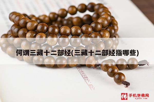 何谓三藏十二部经(三藏十二部经指哪些)