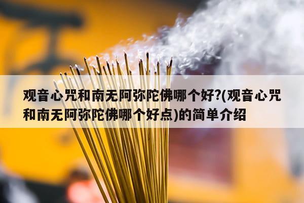 观音心咒和南无阿弥陀佛哪个好?(观音心咒和南无阿弥陀佛哪个好点)的简单介绍