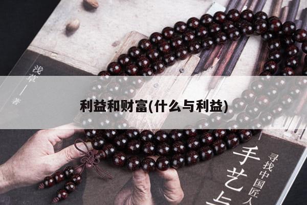 利益和财富(什么与利益)