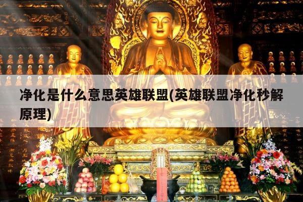 净化是什么意思英雄联盟(英雄联盟净化秒解原理)