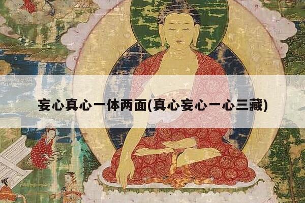 妄心真心一体两面(真心妄心一心三藏)
