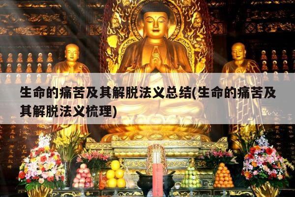 生命的痛苦及其解脱法义总结(生命的痛苦及其解脱法义梳理)