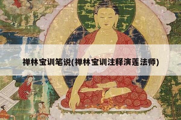 禅林宝训笔说(禅林宝训注释演莲法师)