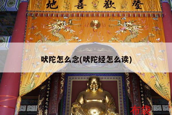 吠陀怎么念(吠陀经怎么读)