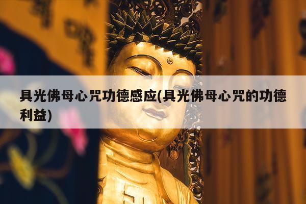 具光佛母心咒功德感应(具光佛母心咒的功德利益)