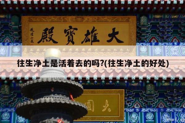 往生净土是活着去的吗?(往生净土的好处)