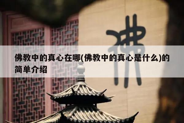 佛教中的真心在哪(佛教中的真心是什么)的简单介绍