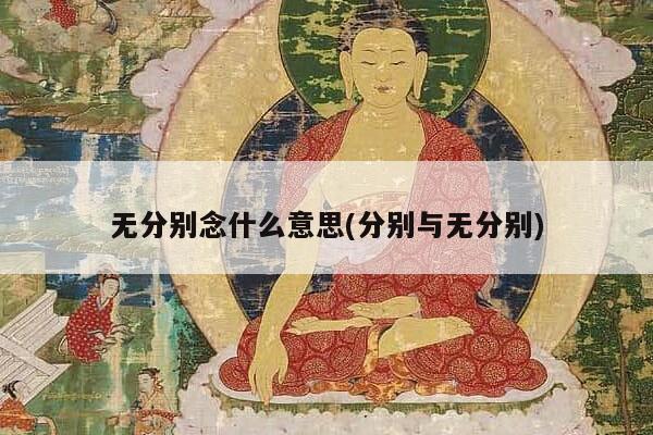 无分别念什么意思(分别与无分别)