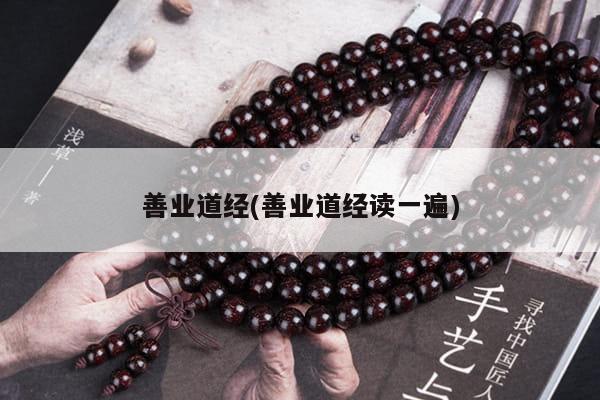 善业道经(善业道经读一遍)