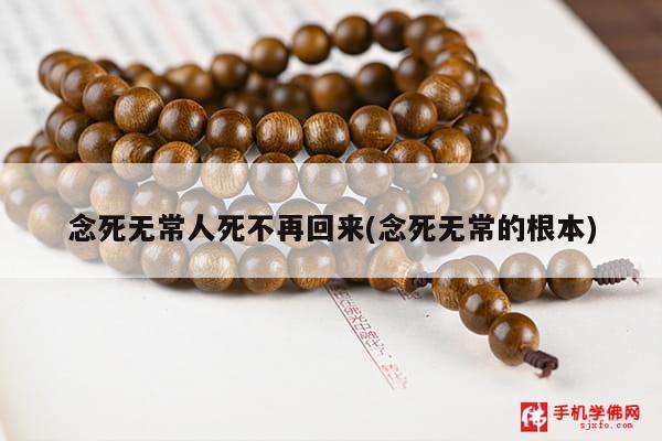 念死无常人死不再回来(念死无常的根本)