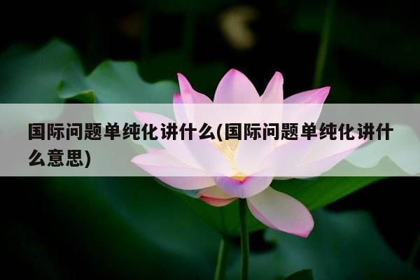 国际问题单纯化讲什么(国际问题单纯化讲什么意思)