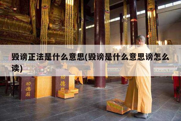 毁谤正法是什么意思(毁谤是什么意思谤怎么读)