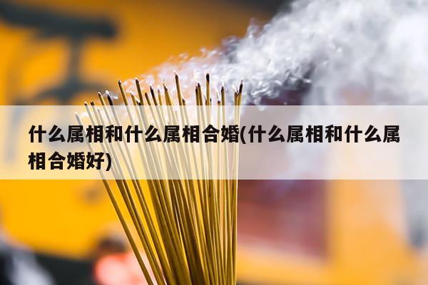 什么属相和什么属相合婚(什么属相和什么属相合婚好)