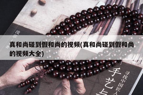 真和尚碰到假和尚的视频(真和尚碰到假和尚的视频大全)