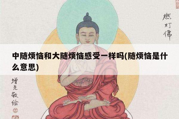 中随烦恼和大随烦恼感受一样吗(随烦恼是什么意思)