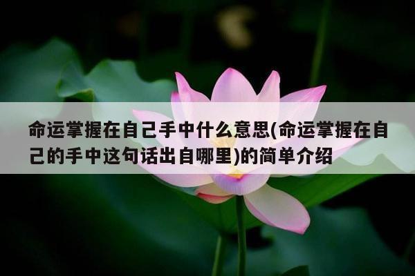 命运掌握在自己手中什么意思(命运掌握在自己的手中这句话出自哪里)的简单介绍