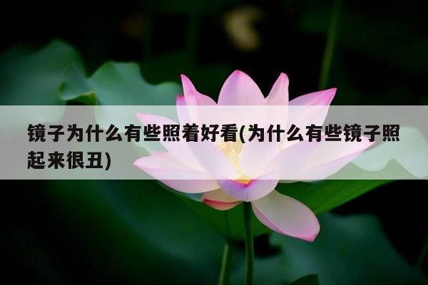 镜子为什么有些照着好看(为什么有些镜子照起来很丑)
