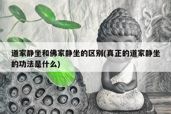 道家静坐和佛家静坐的区别(真正的道家静坐的功法是什么)