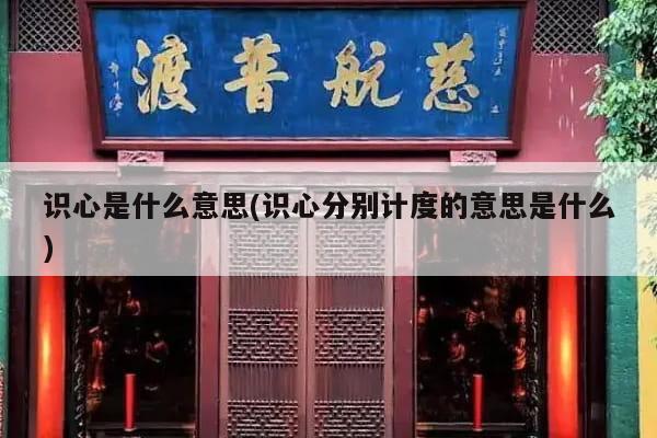 识心是什么意思(识心分别计度的意思是什么)
