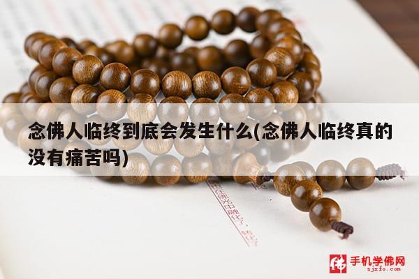 念佛人临终到底会发生什么(念佛人临终真的没有痛苦吗)