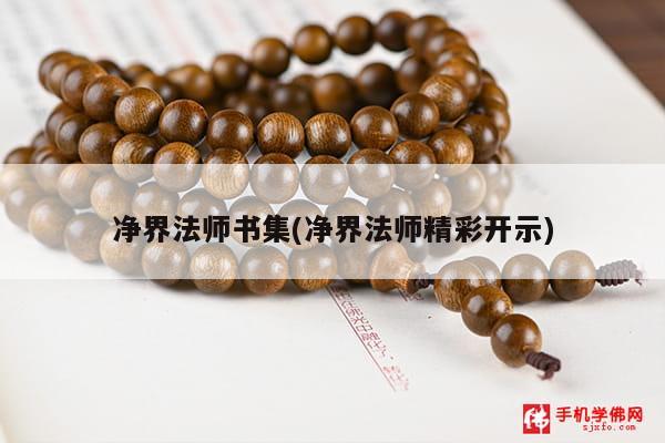 净界法师书集(净界法师精彩开示)