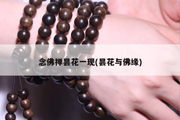 念佛禅昙花一现(昙花与佛缘)