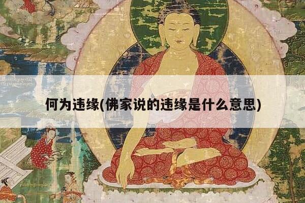 何为违缘(佛家说的违缘是什么意思)