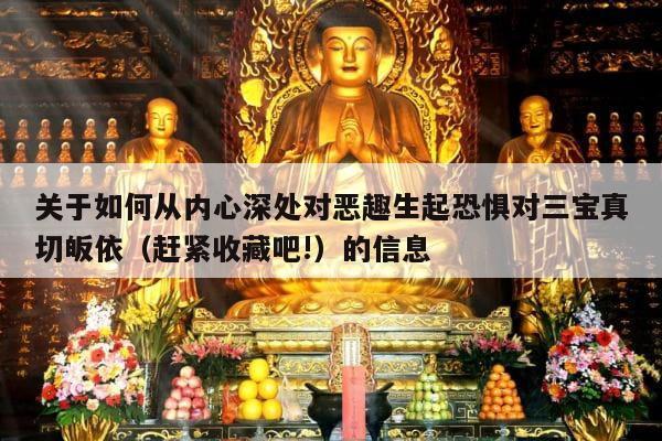 关于如何从内心深处对恶趣生起恐惧对三宝真切皈依（赶紧收藏吧!）的信息