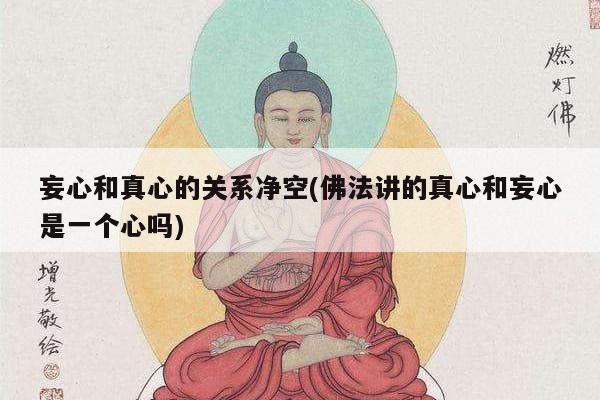 妄心和真心的关系净空(佛法讲的真心和妄心是一个心吗)