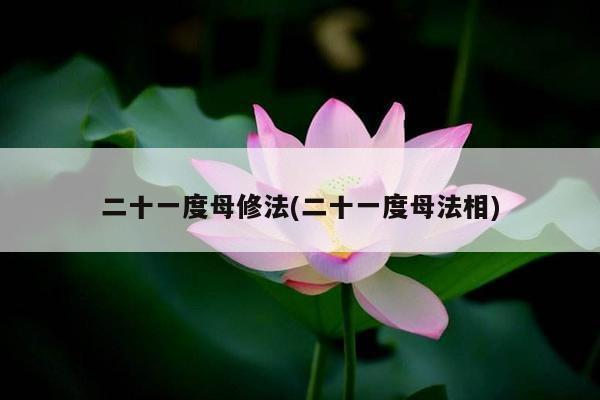 二十一度母修法(二十一度母法相)