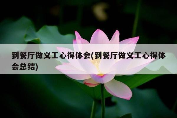 到餐厅做义工心得体会(到餐厅做义工心得体会总结)