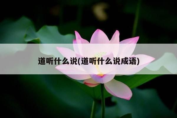 道听什么说(道听什么说成语)