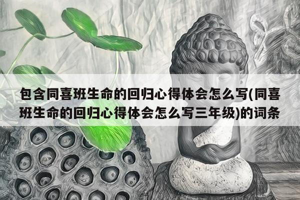 包含同喜班生命的回归心得体会怎么写(同喜班生命的回归心得体会怎么写三年级)的词条