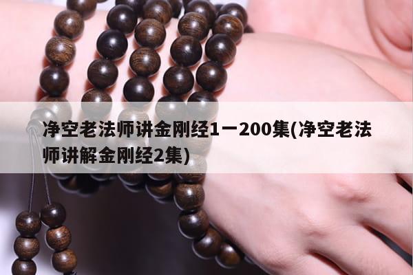 净空老法师讲金刚经1一200集(净空老法师讲解金刚经2集)