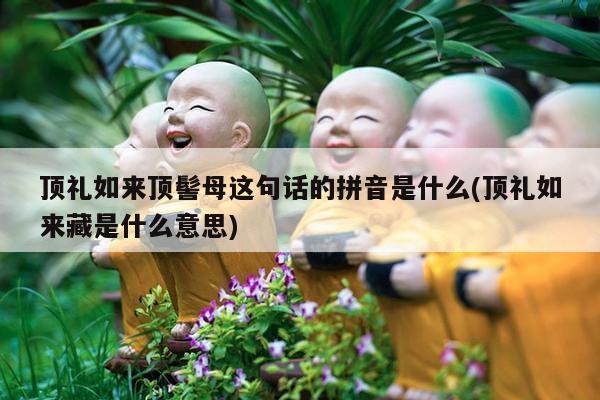 顶礼如来顶髻母这句话的拼音是什么(顶礼如来藏是什么意思)