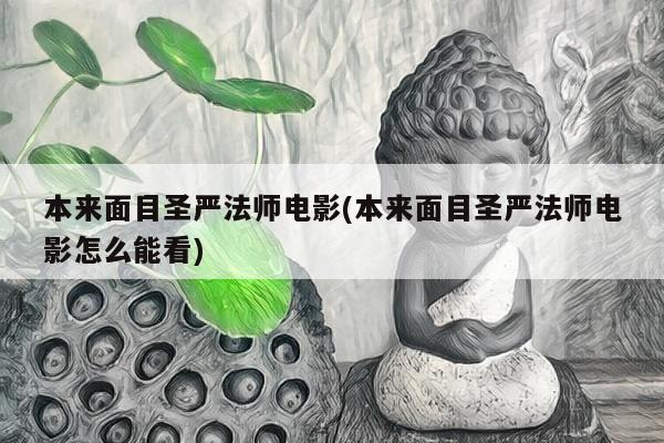 本来面目圣严法师电影(本来面目圣严法师电影怎么能看)